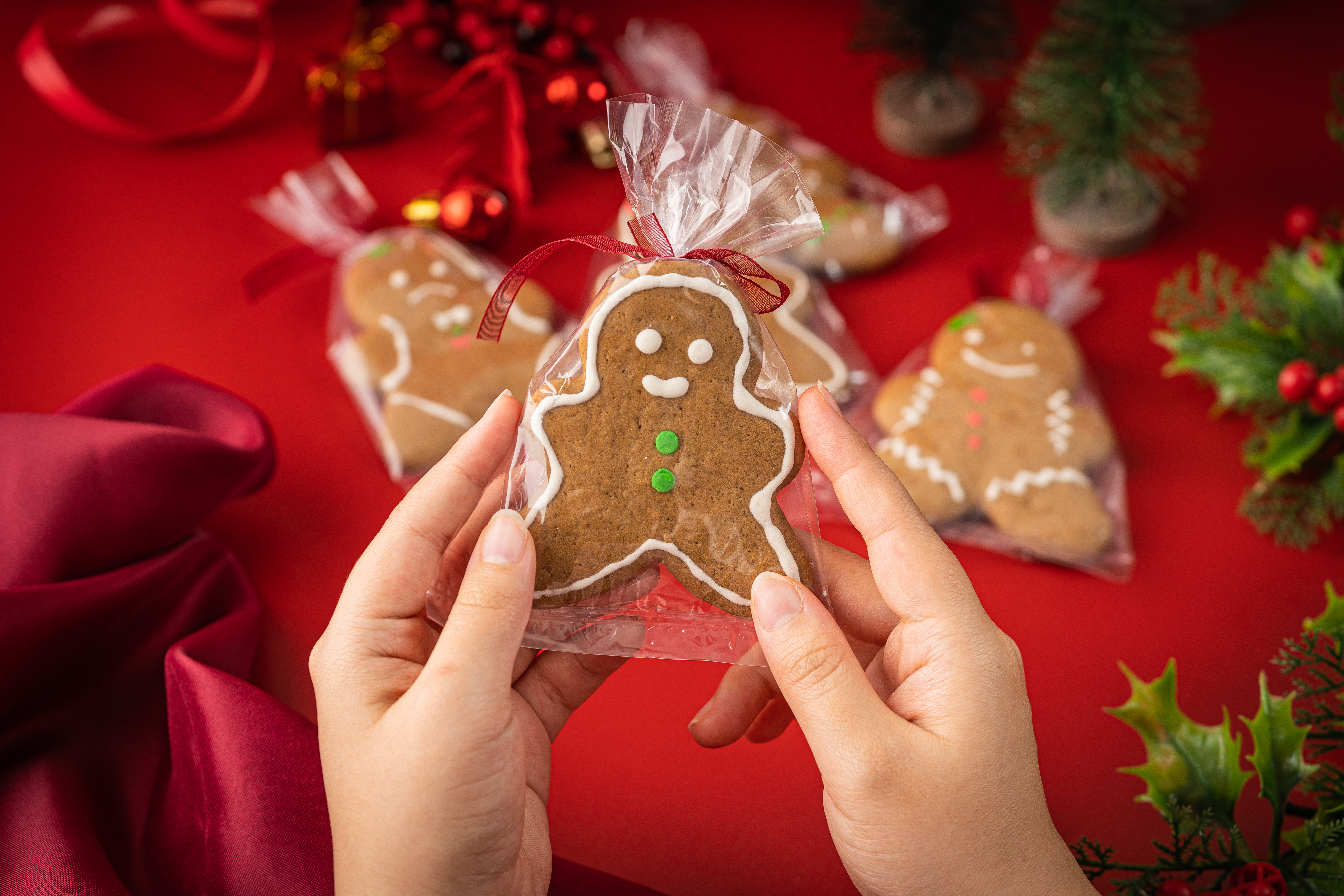 Who would forget about bringing gingerbread man to the Christmas family gathering?