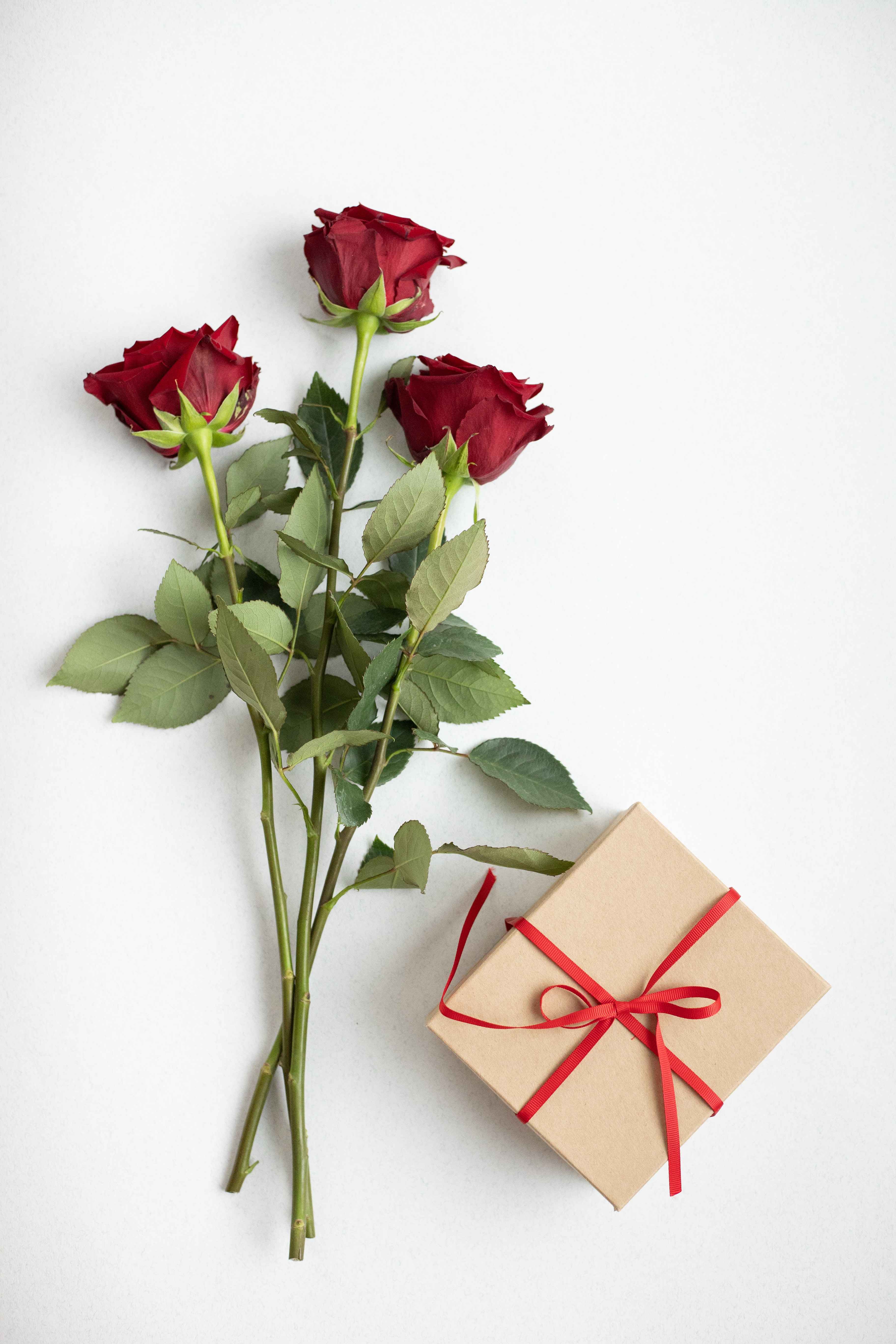 Bunga mawar merah melambangkan rasa cinta dan kasih sayang